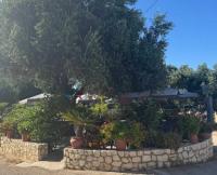 /customerDocs/images/avatars/67036/67036-ΕΣΤΙΑΤΟΡΙΟ-ΨΗΤΟΠΩΛΕΙΟ-GRILL HOUSE-STAVRAKAS-ΚΛΕΙΣΜΑΤΑ-KLISMATA-LOGO.jpg